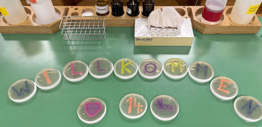 Petri dish welcome